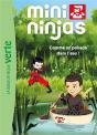 Les Mini Ninjas 02 - Preview