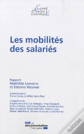 Les Mobilites Des Salaries (Cae N.90)