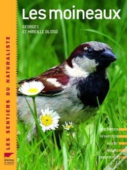 Capa do artigo Les Moineaux