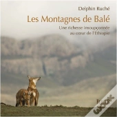 Les Montagnes De Balé ; Une Richesse Insoupçonnée Au Coeur De L'Ethiopie