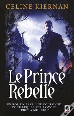 Capa do artigo Les Moorehawke T.3 - Le Prince Rebel