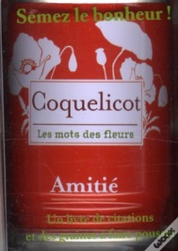 Capa do artigo Les Mots Des Fleurs ; Amitié