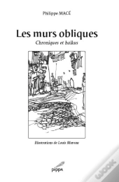 Les Murs Obliques ; Chroniques Et Haïkus