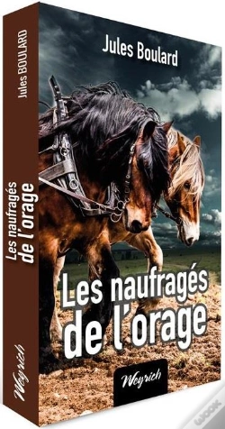 Capa do artigo Les Naufrages De L'Orage
