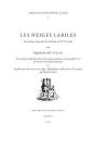 Les Neiges Labiles ; Une Histoire Culturelle De L'Avalanche Au Xviiie Siècle - Preview
