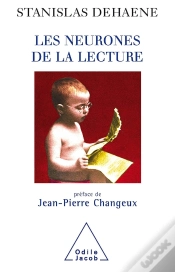 Capa do artigo Les Neurones De La Lecture