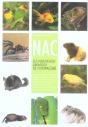 Les Nouveaux Animaux De Compagnie - Preview