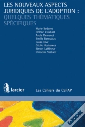 Les Nouveaux Aspects Juridiques De L'Adoption Quelques Thématiques Spécifiques