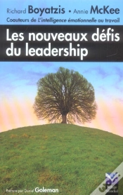 Capa do artigo Les Nouveaux Defis Du Leadership
