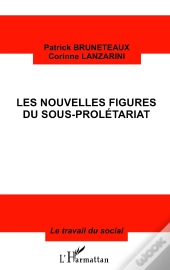 Les Nouvelles Figures Du Sous-Prolétariat