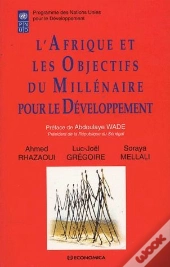 Les Objectifs Du Millenaire Pour Le Developpement En Afrique