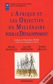 Capa do artigo Les Objectifs Du Millenaire Pour Le Developpement En Afrique