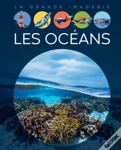Capa do artigo Les Océans
