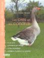 Les Oies Et Les Canards - Preview