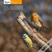 Les Oiseaux