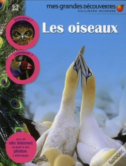 Capa do artigo Les Oiseaux