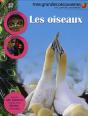 Les Oiseaux - Preview
