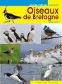 Les Oiseaux De Bretagne - Preview