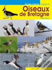 Les Oiseaux De Bretagne