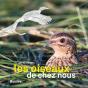 Les Oiseaux De Chez Nous (2e Édition) - Preview