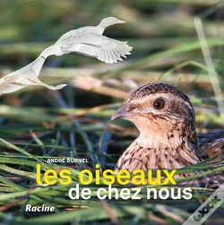 Capa do artigo Les Oiseaux De Chez Nous (2e Édition)