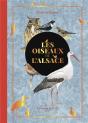 Les Oiseaux De L'Alsace - Preview