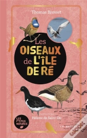 Les Oiseaux De L'Ile De Re