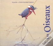 Les Oiseaux De Louis Agassiz Fuertes