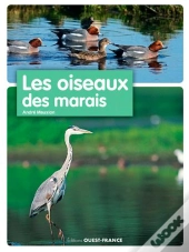 Les Oiseaux De Marais