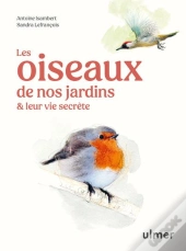 Les Oiseaux De Nos Jardins & Leur Vie Secrète