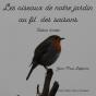 Les Oiseaux De Notre Jardin - Preview