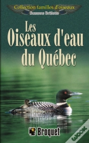 Capa do artigo Les Oiseaux D