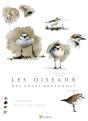 Les Oiseaux Des Côtes Bretonnes - Preview
