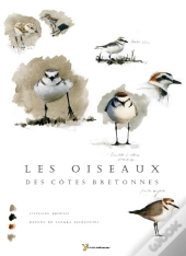 Les Oiseaux Des Côtes Bretonnes