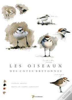 Capa do artigo Les Oiseaux Des Côtes Bretonnes