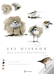 Capa do artigo Les Oiseaux Des Côtes Bretonnes