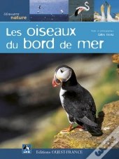 Les Oiseaux Du Bord De Mer