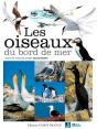 Les Oiseaux Du Bord De Mer - Preview