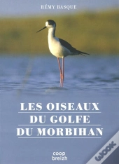 Les Oiseaux Du Golfe Du Morbihan