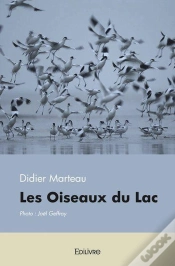 Capa do artigo Les Oiseaux Du Lac