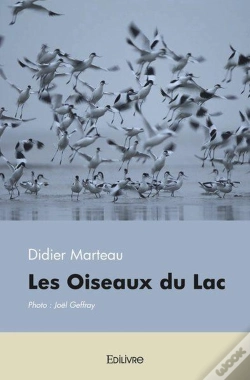 Capa do artigo Les Oiseaux Du Lac