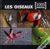 Capa do artigo Les Oiseaux En 1001 Photos - Ned -