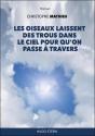Les Oiseaux Laissent Des Trous Dans Le Ciel Pour Qu'On Passe À Travers - Preview