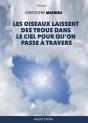 Les Oiseaux Laissent Des Trous Dans Le Ciel Pour Qu'On Passe À Travers - Preview