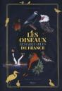 Les Oiseaux Remarquables De France - Preview
