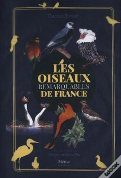 Capa do artigo Les Oiseaux Remarquables De France
