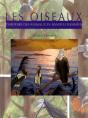Les Oiseaux - Preview