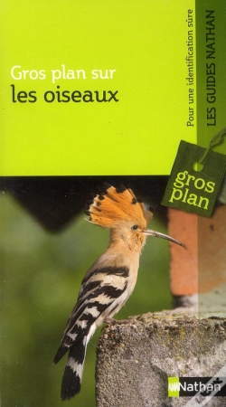 Capa do artigo Les Oiseaux