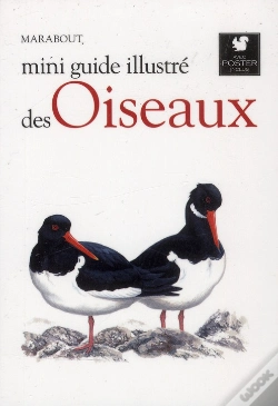 Capa do artigo Les Oiseaux