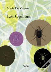 Les Opilions